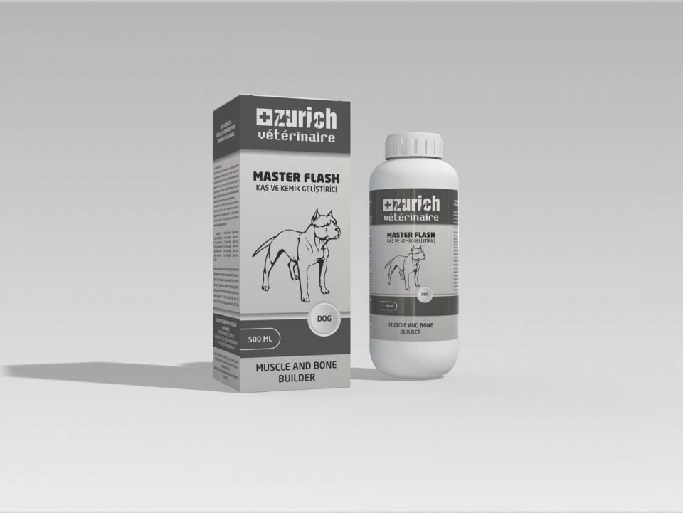ZÜRİCH MASTER FLASH 500ML