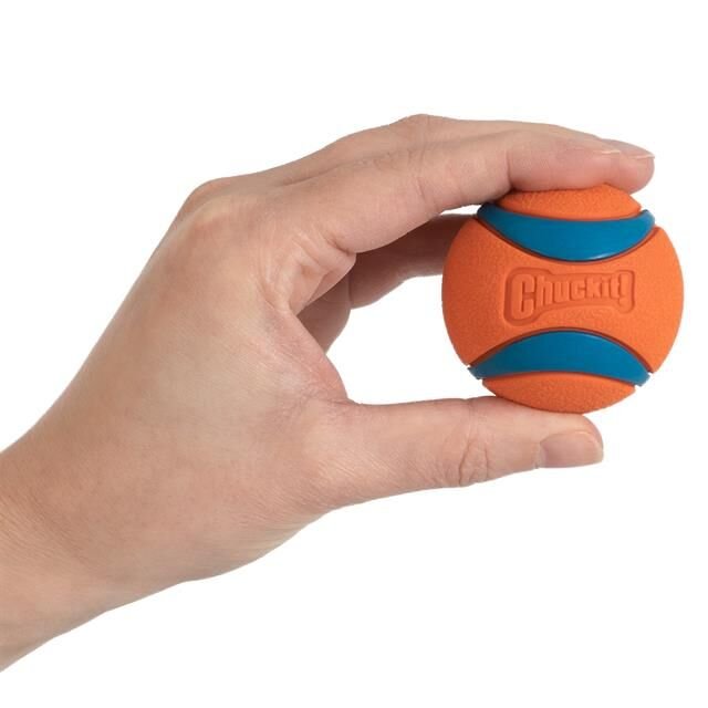 Chuckit! Ultra Ball Köpek Oyun Topu 2'li Paket (Küçük Boy)