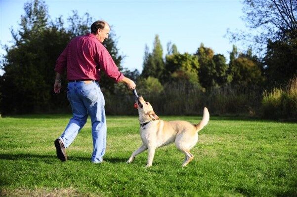 Chuckit! Ultra Duo Tug 2'li Köpek Çekiştirme Topu (Orta Boy)