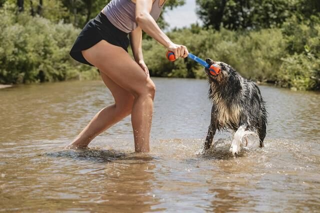 Chuckit! Ultra Duo Tug 2'li Köpek Çekiştirme Topu (Orta Boy)