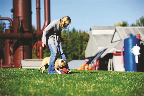 Chuckit! Kick Fetch Köpek Oyuncağı (Küçük Boy)