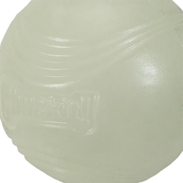 Chuckit! Max Glow Gece Parlayan Köpek Oyun Topu (Orta Boy)