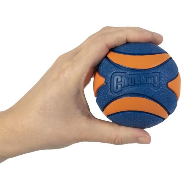 Chuckit! Ultra Squeaker Sesli Köpek Oyun Topu (Büyük Boy)