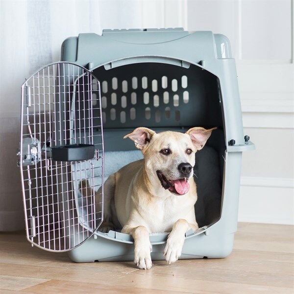 Petmate Sky Kennel Taşıma Kafesi No:6 (92 x 64 x 69cm)