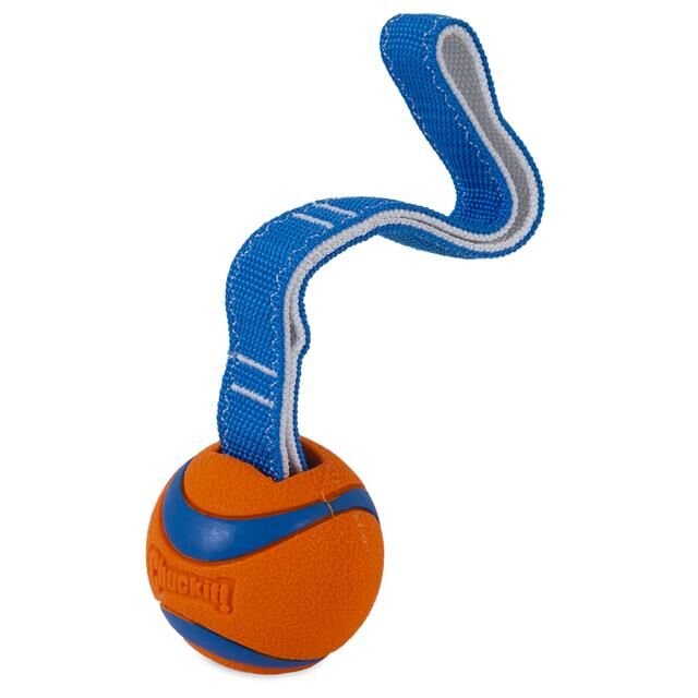 Chuckit! Ultra Tug Köpek Çekiştirme Topu (Küçük Boy)
