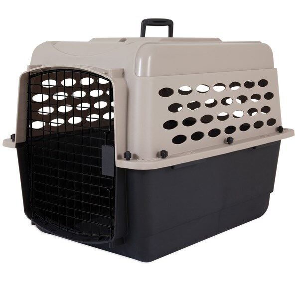 Petmate Vari Kennel Taşıma Kafesi No:4 (72 x 52 x 55cm)