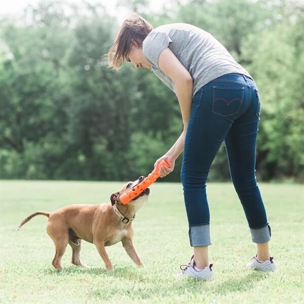 Chuckit! Air Fetch Stick Köpek Oyuncağı (Küçük Boy)