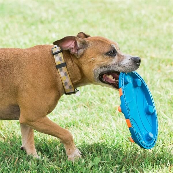 Chuckit! Whistle Flight Sesli Frizbi