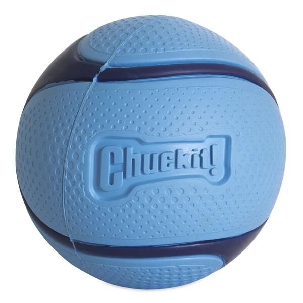 Chuckit! Sniff Fetch Jambon Kokulu Köpek Oyun Topu (Orta Boy)