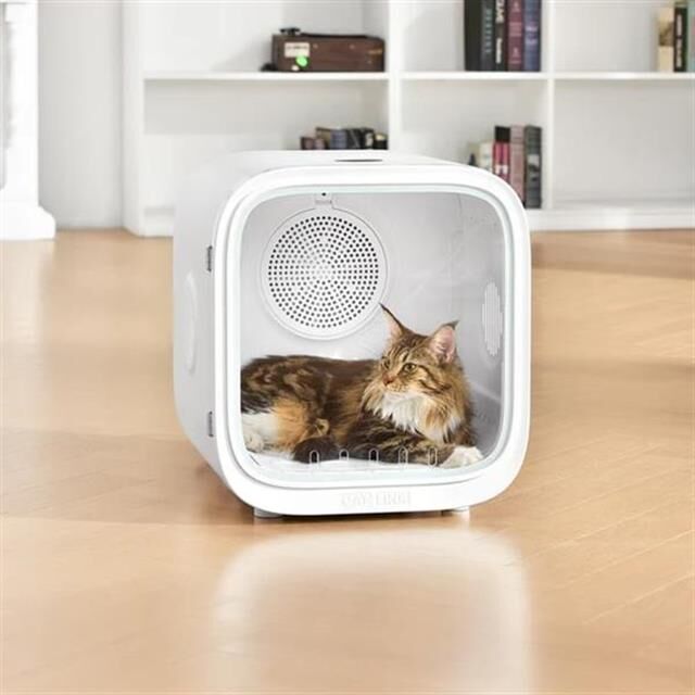 CATLINK Akıllı Evcil Hayvan Kurutucu
