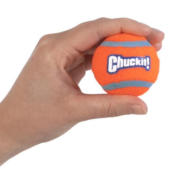 Chuckit! Tenis Köpek Oyun Topu 2'li Paket (Küçük Boy)