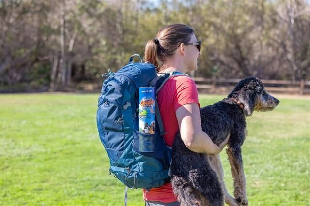 Chuckit! Sniff Fetch Kokulu Köpek Oyun Topu 4'lü Kutulu Set (Orta Boy)