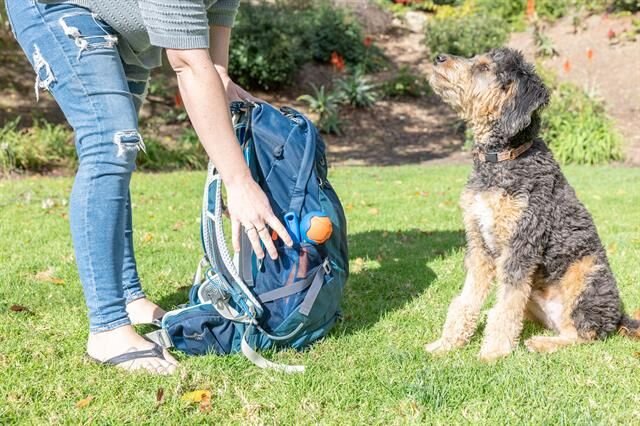 Chuckit! Fetch & Fold Mini Katlanabilir Top Fırlatıcı (Küçük Boy Fetch Ball Hediyeli)