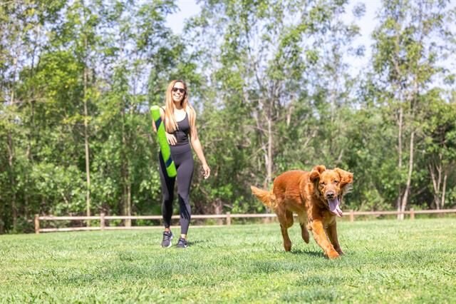 Chuckit! Sniff Fetch Stick Kokulu Köpek Oyuncağı (Fıstık Ezmesi Aromalı)