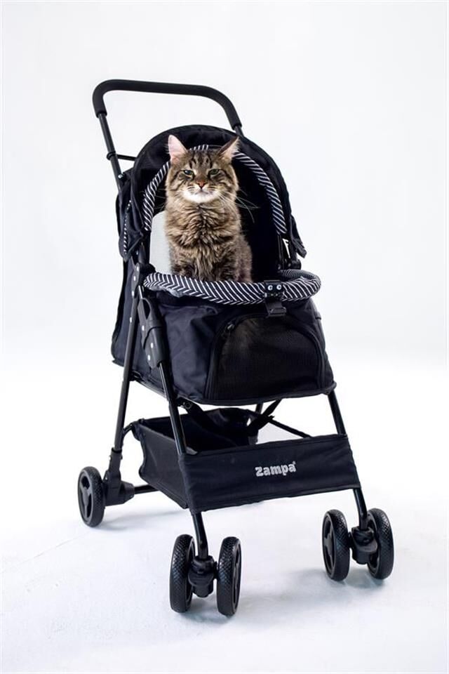 Zampa Showtime Kedi & Köpek Arabası Siyah, 42x69.5x88cm