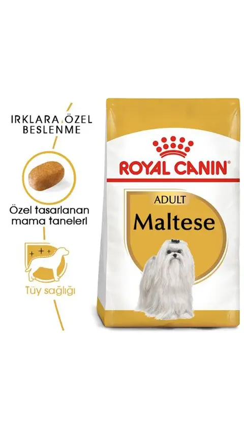 Royal Canin Maltese Terrier Yetişkin Köpek Maması 1,5 kg
