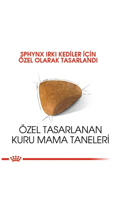 Royal Canin Sphynx Yetişkin Kedi Maması 2 Kg
