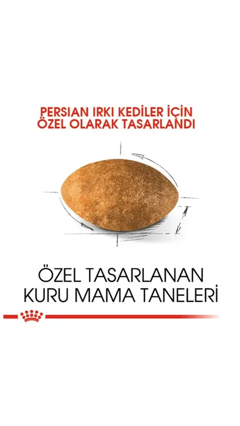Royal Canin İran Kedileri İçin Yetişkin Kedi Maması 2 kg