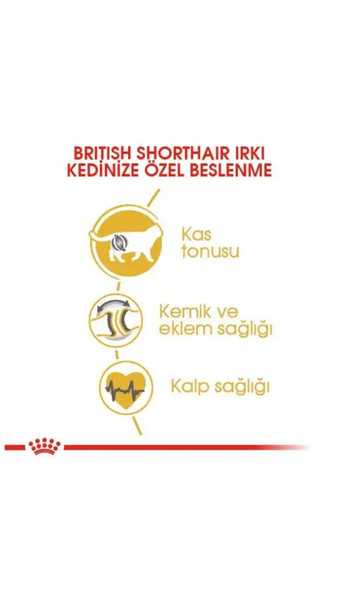Royal Canin British Shorthair Yetişkin Kedi Maması 2 Kg