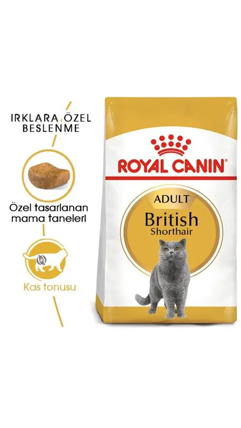 Royal Canin British Shorthair Yetişkin Kedi Maması 2 Kg