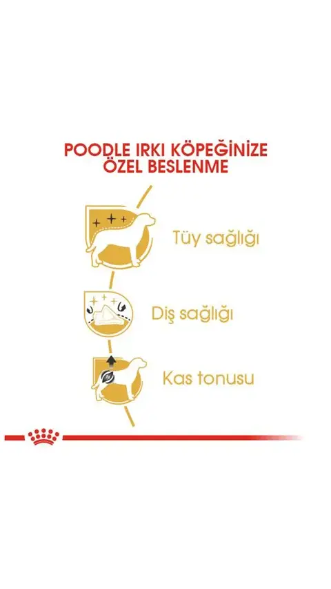 Royal Canin Poodle Yetişkin Köpek Maması 3 Kg