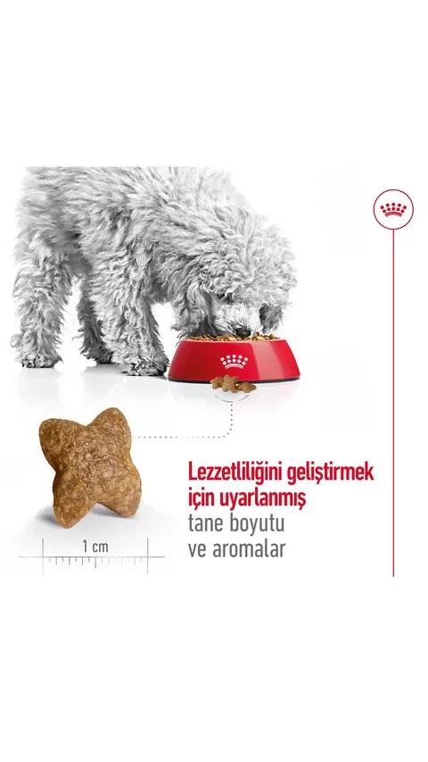 Royal Canin Mini Küçük Irk Yetişkin Köpek Maması 4 Kg