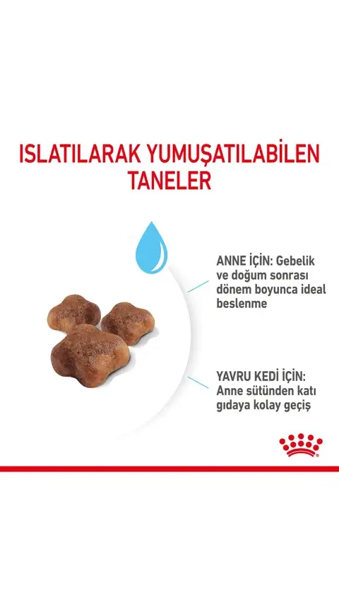 Royal Canin Mother&BabyCat Yavru Kedi Maması 2 Kg