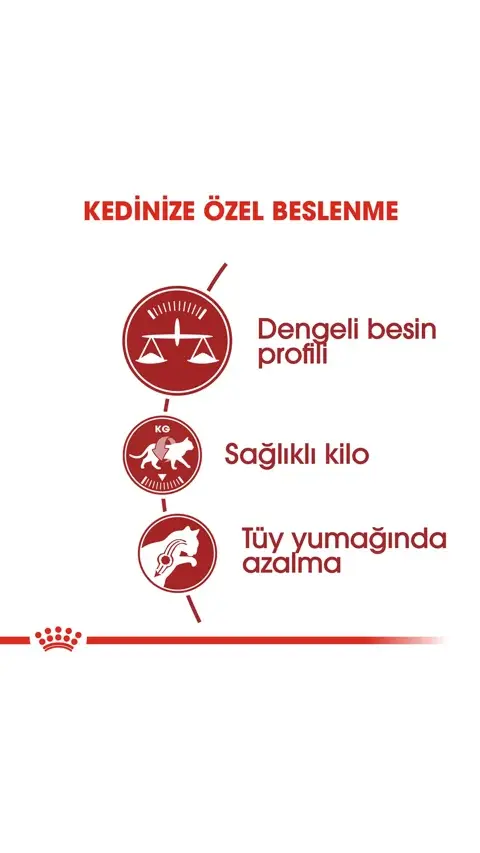 Royal Canin Fit 32 Yetişkin Kedi Maması 4 Kg