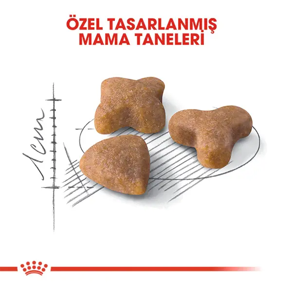 Royal Canin Sensible 33 Hassas Sindirim Sistemi Destekleyici Kedi Maması 2kg