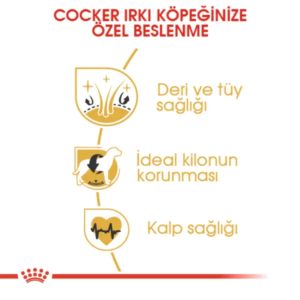 Royal Canin Cocker Spaniel 25 Yetişkin Köpek Maması 3kg