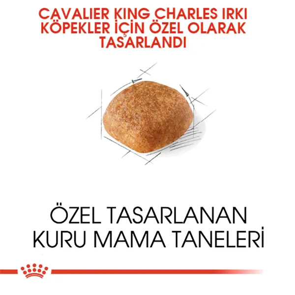 Royal Canin Cavalier King Charles 27 Yetişkin Köpek Maması 1,5kg