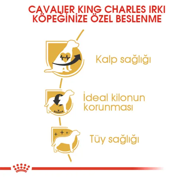 Royal Canin Cavalier King Charles 27 Yetişkin Köpek Maması 1,5kg