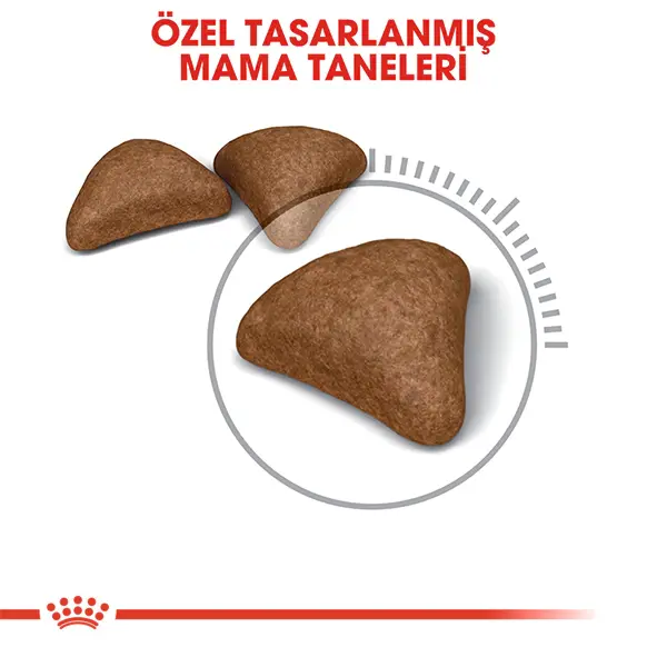 Royal Canin Hairball Tüy Yumağı Önleyici Yetişkin Kedi Maması 2kg