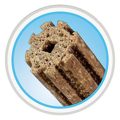 Pro Plan Dental Care Küçük Irk Köpek Ödül Maması 345 Gr