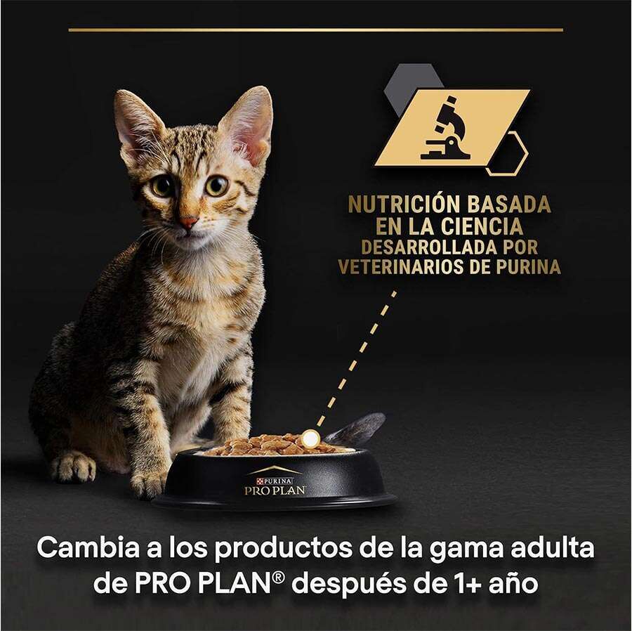 Pro Plan Pouch Kitten Sos İçinde Hindili Yavru Kedi Yaş Maması 85 Gr